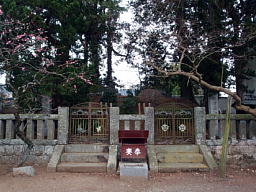揊