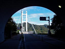Ygl