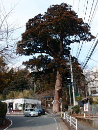 吙