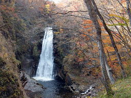 滝まで下りていく遊歩道沿いでは紅葉がきれいでした 紅葉