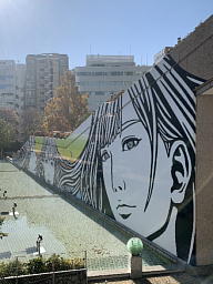 北側から見た所 1