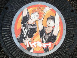 烏野高校 日向翔陽(左)と影山飛雄 烏野