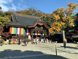 境内ではムクロジの黄葉がきれいでした ムクロジ