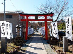 「勝負の神」の幟がびっしりと並んでいます 鳥居