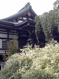 大師像と萩 大師