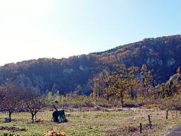 残念ながら強い逆光で良く見えません 白岩