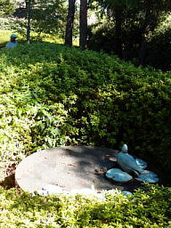 植え込みの向こうに少女の頭がのぞいています こもれび