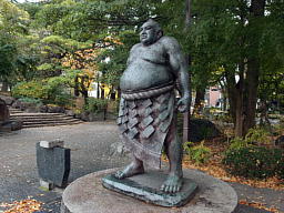 横から見ると立派なおなかが見て取れます 斜め