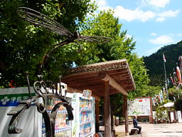 qǂ̓