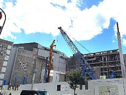 工事現場に集まったキリンたち キリン