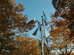 雲はすべて吹き飛ばされてしまったようです 青空