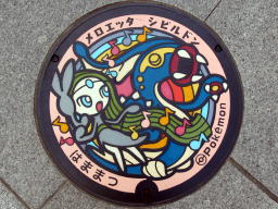 ポケふた(メロエッタ/シビルドン) ポケふた