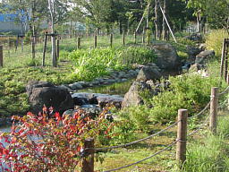 ȗ