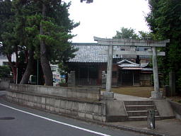 qVO_