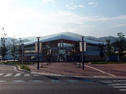 Si